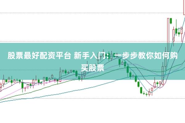 股票最好配资平台 新手入门：一步步教你如何购买股票