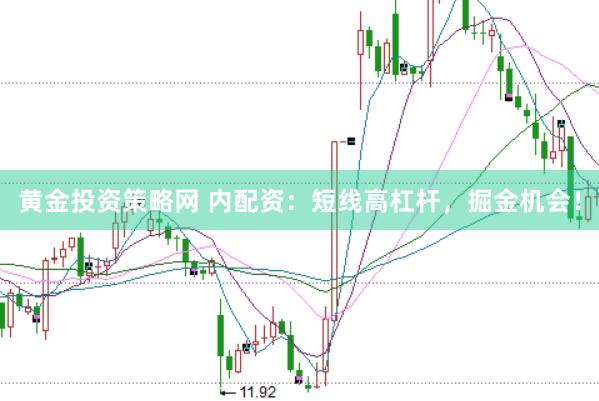 黄金投资策略网 内配资：短线高杠杆，掘金机会！