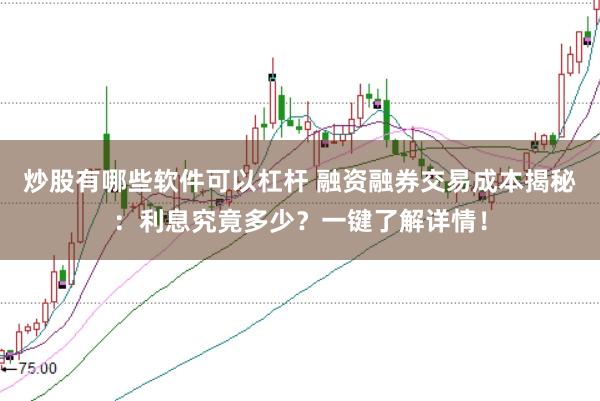 炒股有哪些软件可以杠杆 融资融券交易成本揭秘：利息究竟多少？一键了解详情！