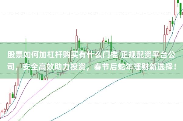 股票如何加杠杆购买有什么门槛 正规配资平台公司，安全高效助力投资，春节后蛇年理财新选择！