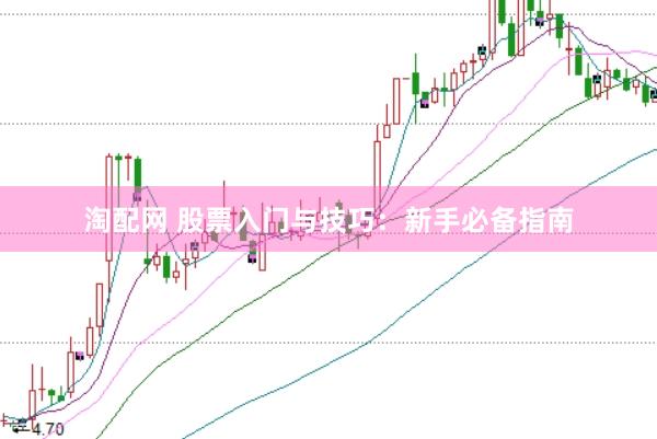 淘配网 股票入门与技巧：新手必备指南