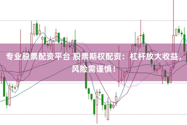 专业股票配资平台 股票期权配资：杠杆放大收益，风险需谨慎！
