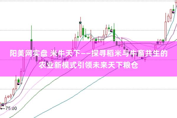 阳美网实盘 米牛天下——探寻稻米与牛畜共生的农业新模式引领未来天下粮仓