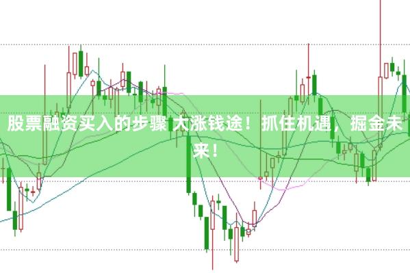 股票融资买入的步骤 大涨钱途！抓住机遇，掘金未来！